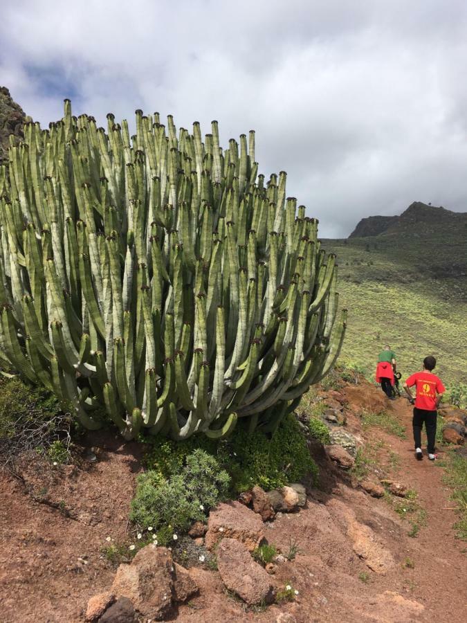 Casa Manel, La Gomera San Sebastián de la Gomera Eksteriør bilde